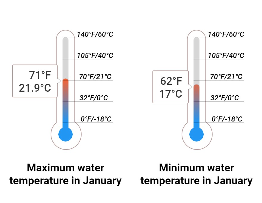 Average Sea temperature